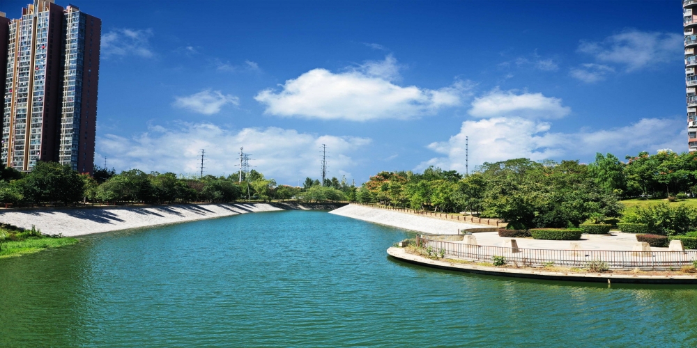 合肥市廬陽區中鐵濕地公園綠化養護